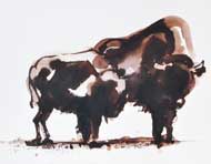 bisons - Anita Gaasbeek